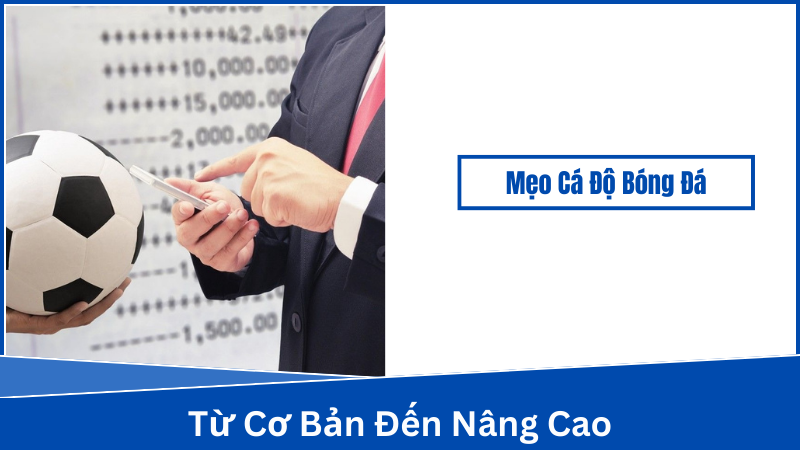 Mẹo Cá Độ Bóng Đá - Xây Dựng Chiến Lược