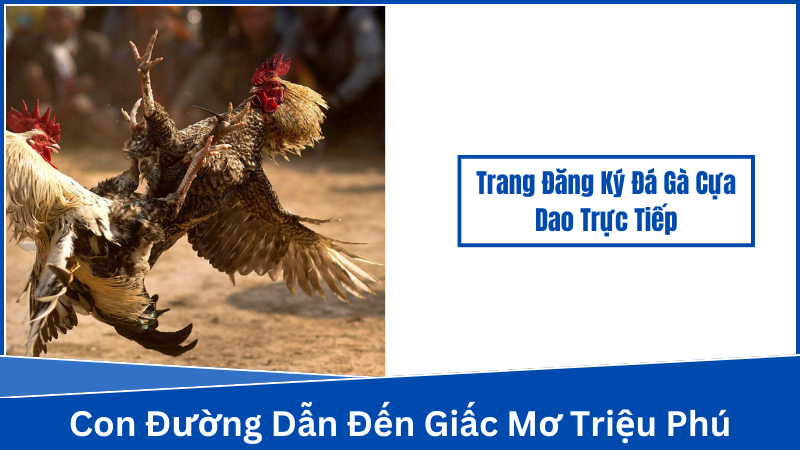 Trang Đăng Ký Đá Gà Cựa Dao Trực Tiếp Là Gì?