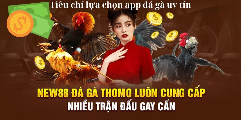 Tính năng phong phú và đa dạng