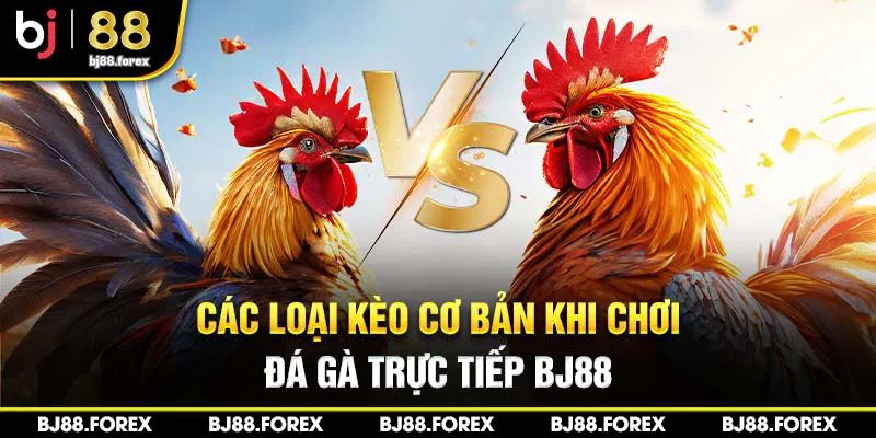 Các loại kèo cơ bản khi chơi đá gà trực tiếp bj88