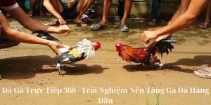 da ga truc tiep368 1