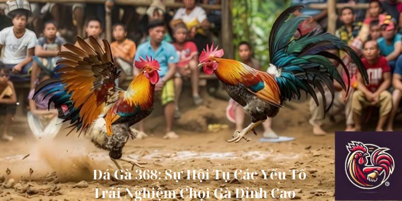 Đá Gà 368: Sự Hội Tụ Các Yếu Tố Trải Nghiệm Chọi Gà Đỉnh Cao